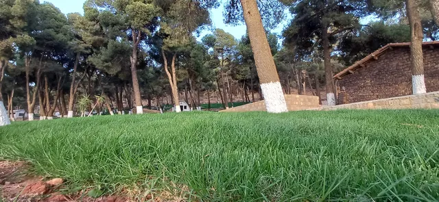 Paradis Vert Lalla Setti