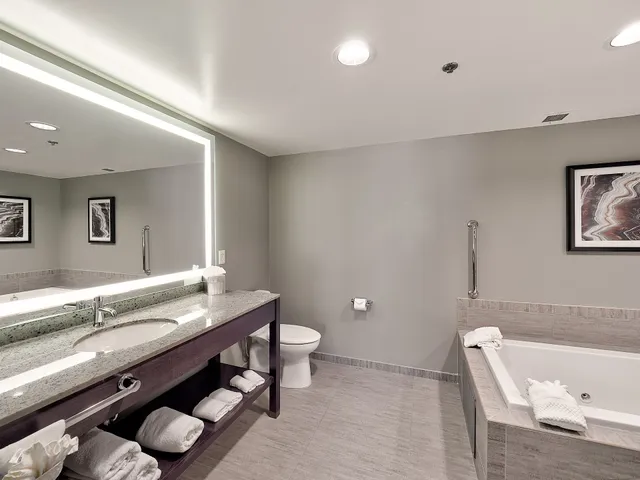 DoubleTree by Hilton Hotel Bloomington