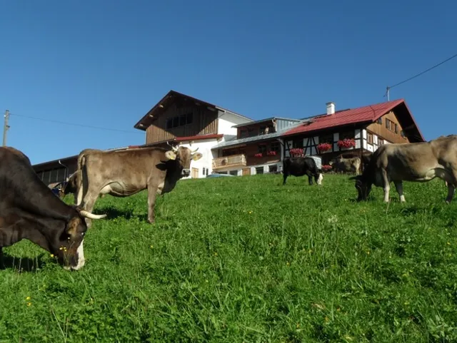 Bio-Bergbauernhof Jäck - Nadine Jäck
