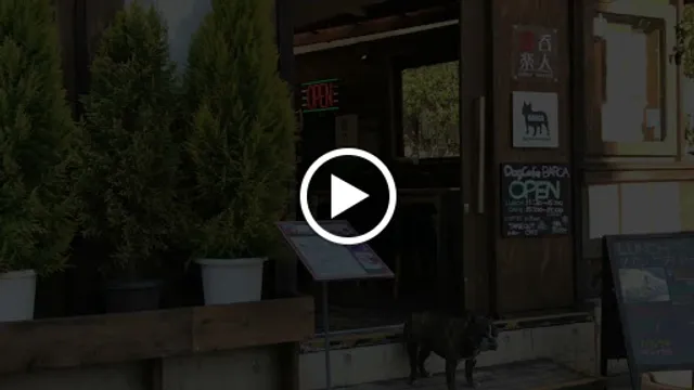 BARCA Dog Cafe & Community