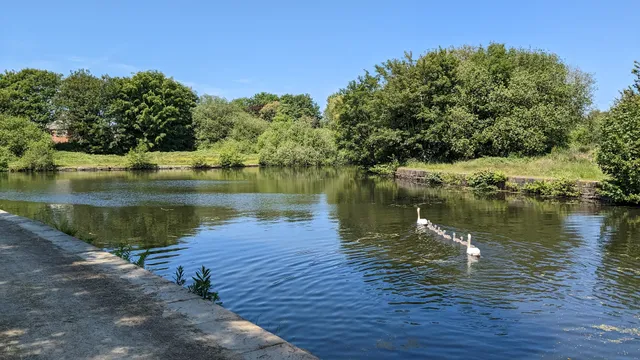 Manchester,Bolton And Bury Canal