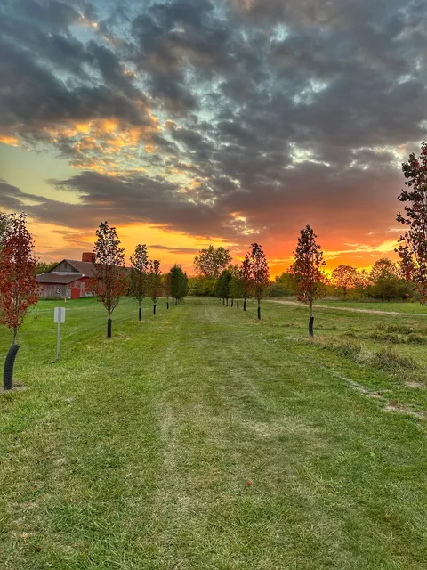 Taylor University Cross Country
