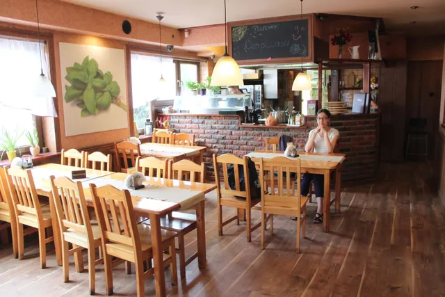 Pizzeria Restauracja Trattoria La Festa