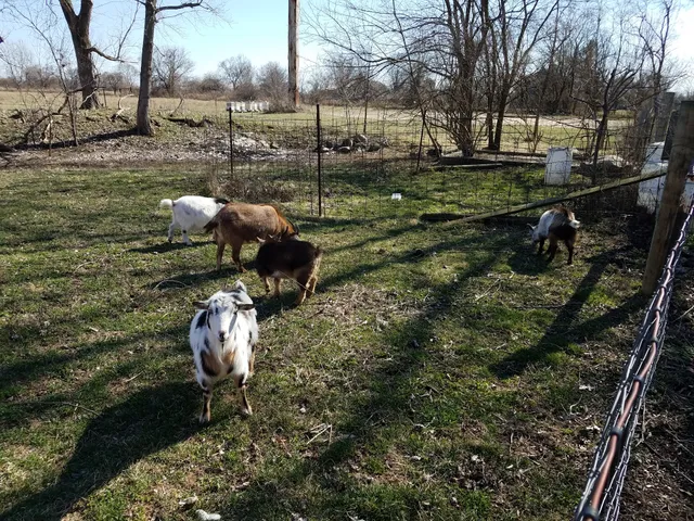 Angry Hippie Farms, LLC