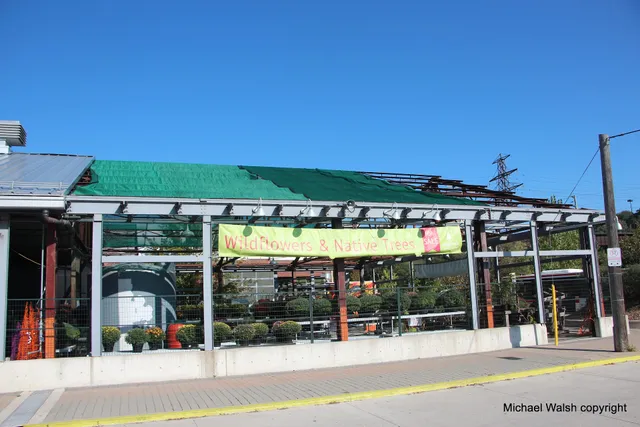 Evergreen's Winter Market