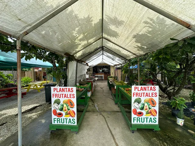 Fruits/Veggies and Home Food