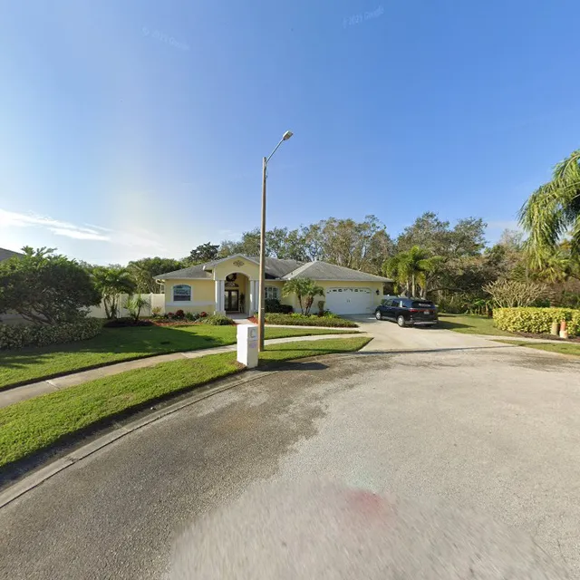 Questan Golden Retrievers