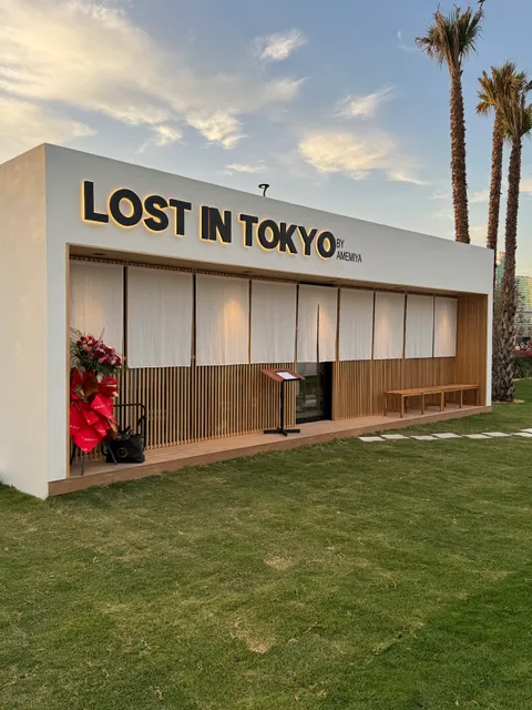 LOST IN TOKYO