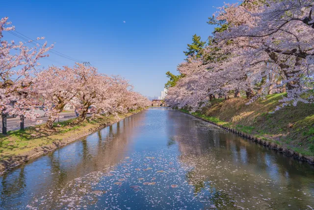 Hirosaki Castle Outer Moat