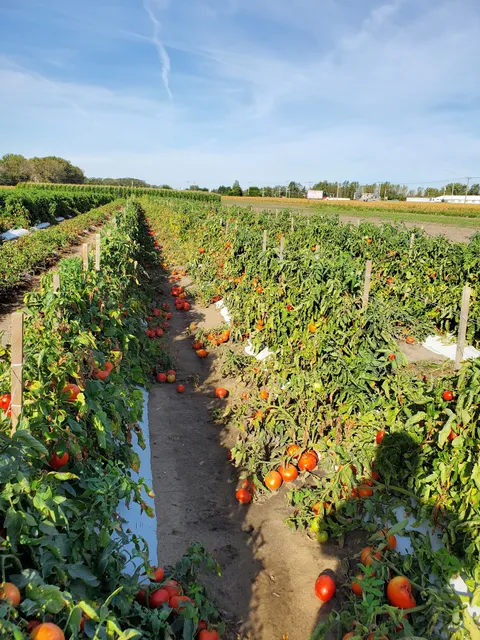 Bultema's Farmstand and Greenhouse