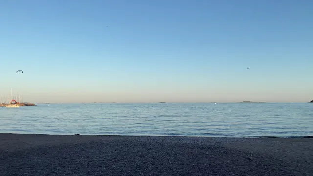 Rantakallionpuiston koira-aitaus