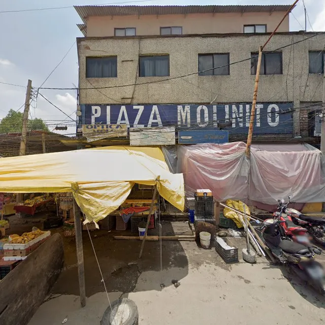 Paleteria y Neveria La Michoacana Plaza Molinito