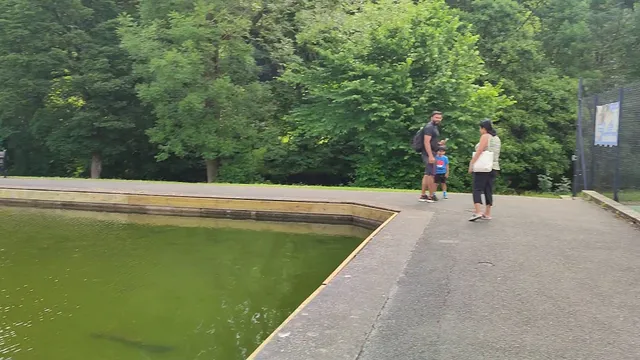 Millhouses Park Water Park