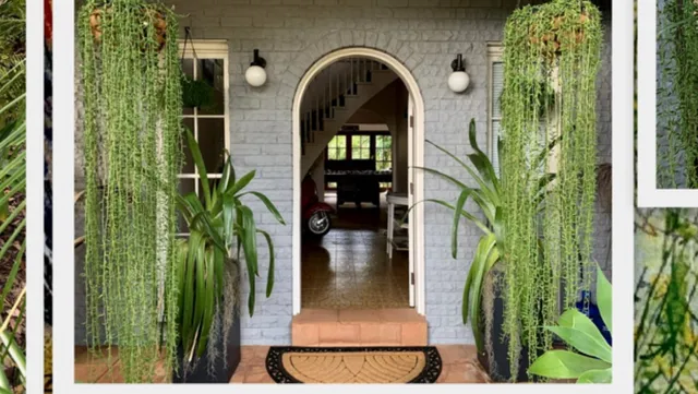 Palm Beach Bed and Breakfast