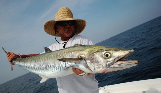 Swift Fish Charters