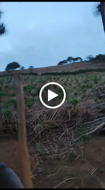 Self-Service e Lanchonete Papa Tudo