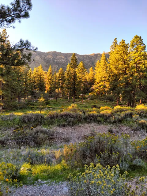 Fletcher Canyon Trailhead