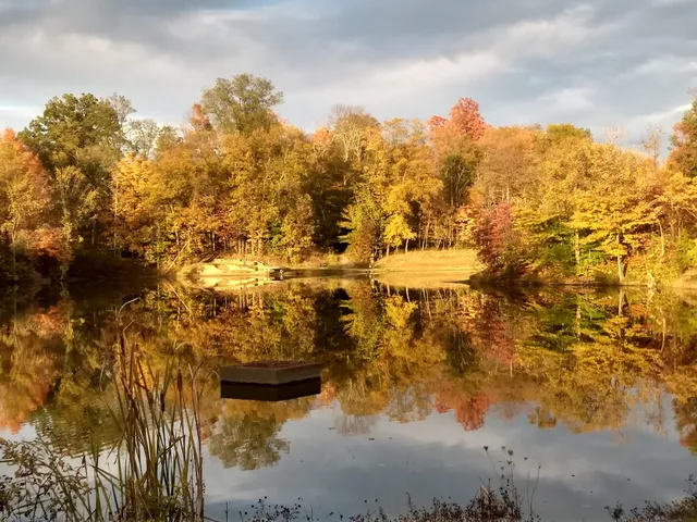 Shadow Lake Picnic Area