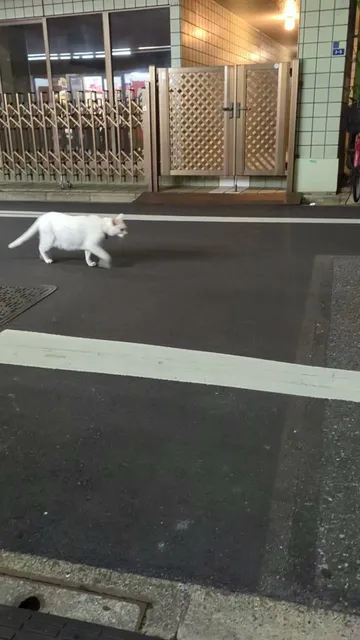 HATAGO YUKI HOUSE（元YUKI TOKYO）