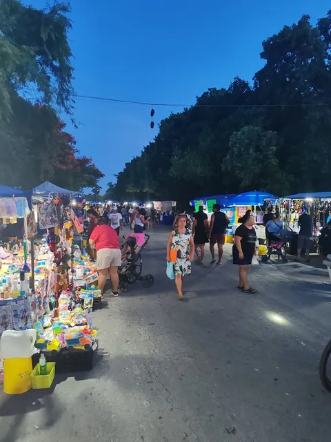 Tianguis Los Héroes martes Vespertino