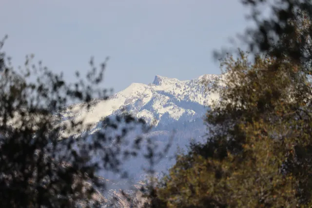 Sequoia Vacation Rentals Inc.