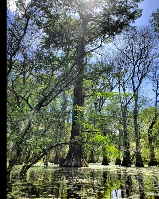 Tommy Long Boat Ramp