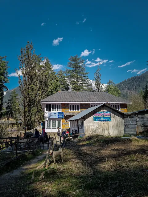 Old Forest View Guest House and Restaurant, Pulga