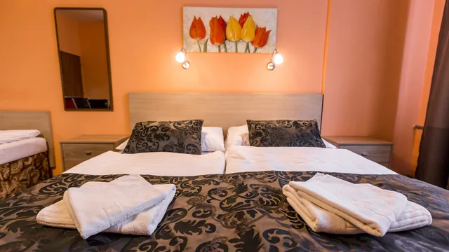 Rezidence Davids Apartments Florenc