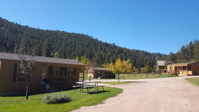 American Pines Cabins