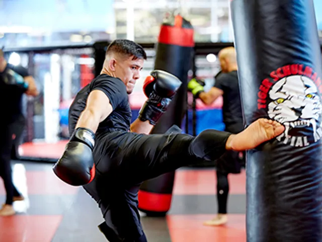 Tiger Schulmann's Martial Arts (Rego Park, NY)