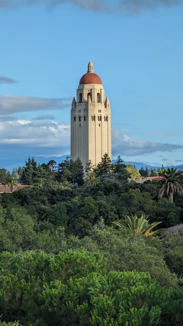 Bowes Art & Architecture Library