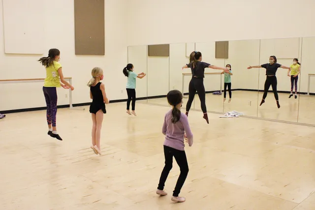 PAA - Performing Arts Academy