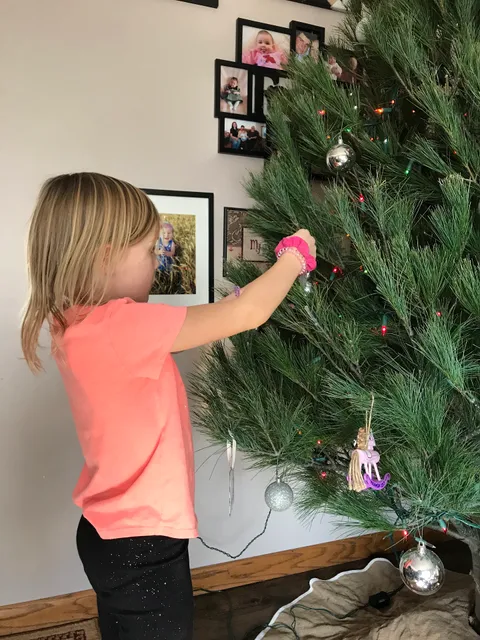 Delp Christmas Tree Farm & Orchard