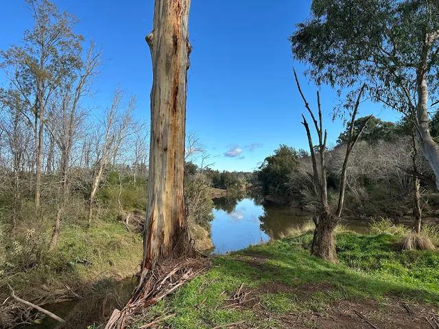 Nepean River Trail Camden (Not Camden Bike Track)
