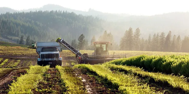 Young Living St. Maries Farm & Distillery