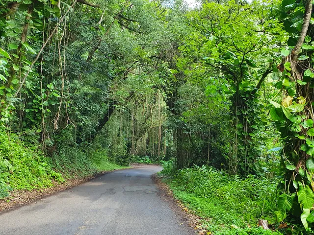 Makiki Valley State Recreation Area