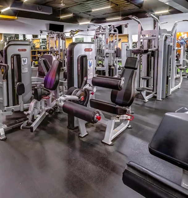 Houston Next Level Fitness