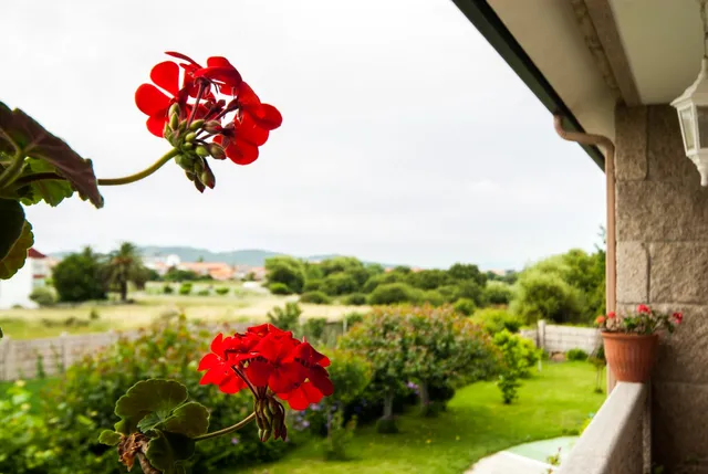 Villa Ortigueira alquiler vacacional