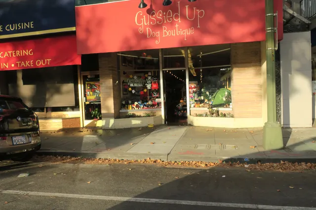 Gussied Up Dog Boutique