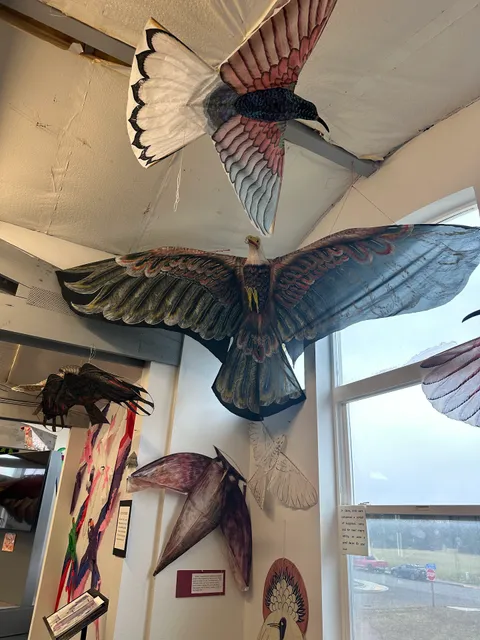 Wa State International Kite Festival