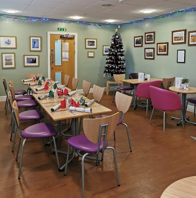 The Whistling Teapot