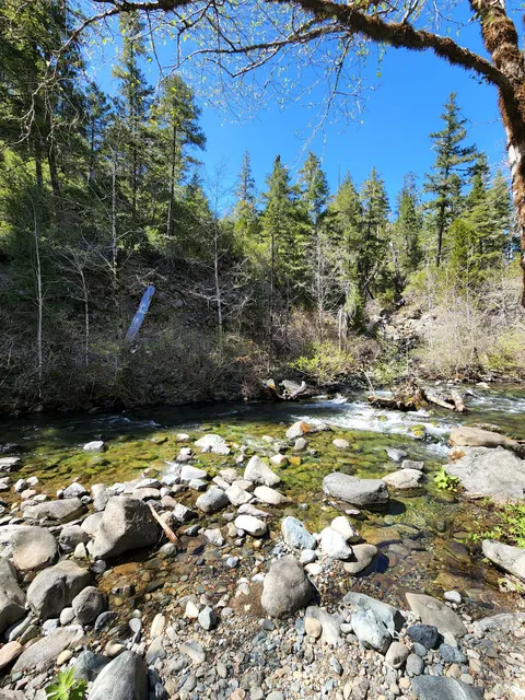 Dispersed Camping Patrick Creek site B
