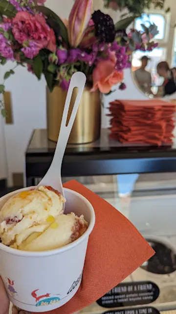 Little Fox Cups + Cones