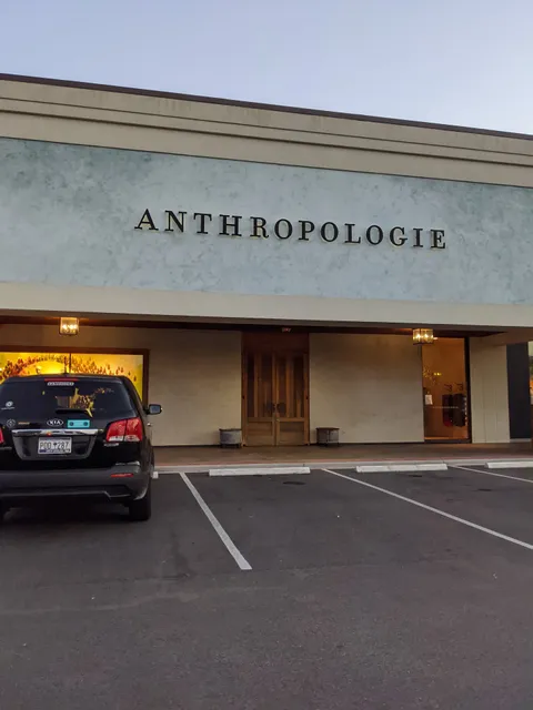 Anthropologie