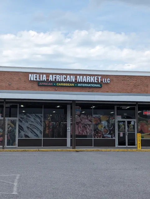 Nelia African Market, LLC