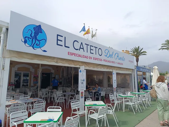 El cateto del Puerto