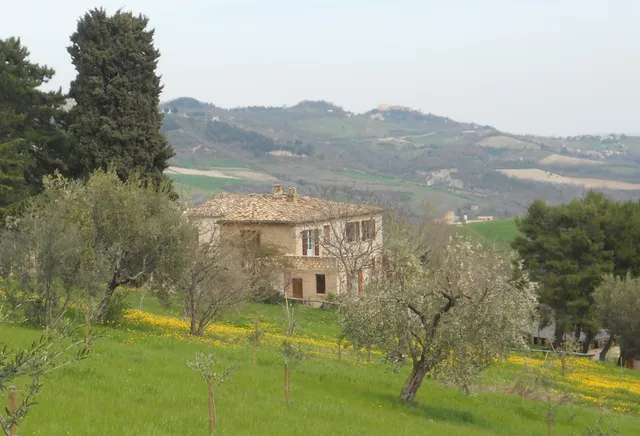 Agriturismo Il Palmarone