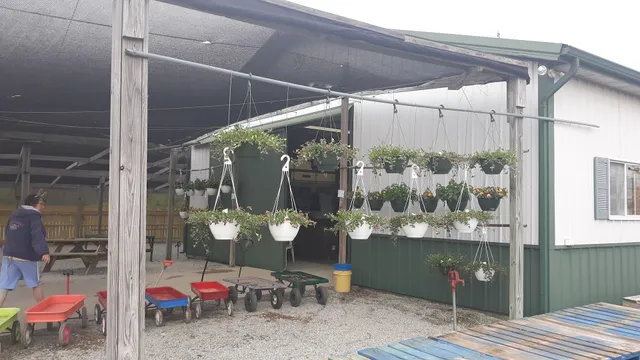 Yankee Street Market