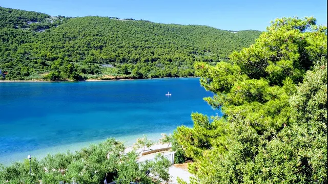 Camp & Apartments "VALA"