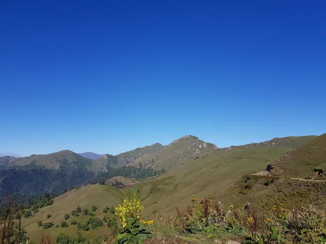 Borjomi & Kharagauli National Park